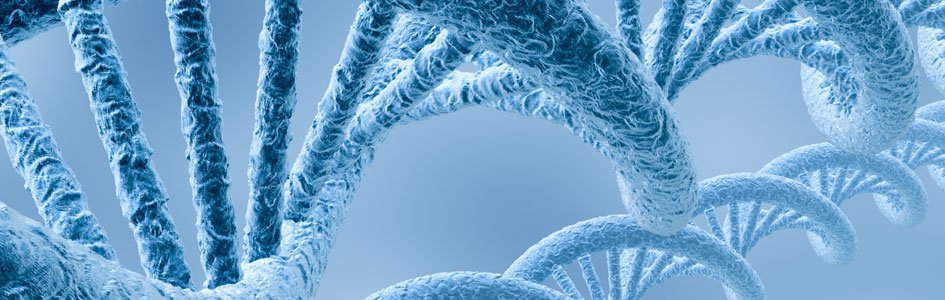 Epigenetics—Inheriting More Than Genes